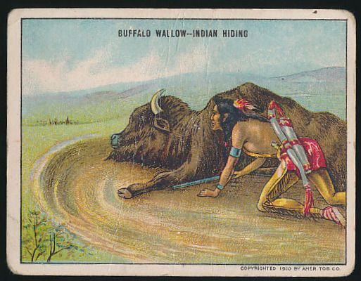 Buffalo Wallow - Indian Hiding
